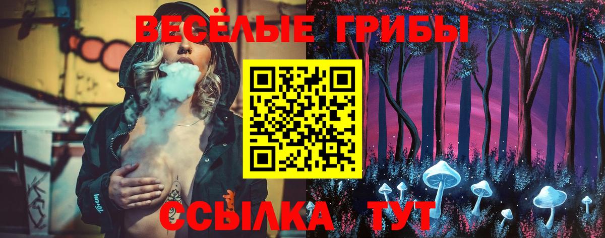 Псилоцибиновые грибы Cubensis  Галлюциногенные грибы Psilocybe  Вход с VPN  купить   Северобайкальск 